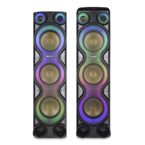 Bafle RadioShack RS Rave 10 pulg. 200W 2 piezas Bafle RadioShack RS Rave 10 pulg. 200W 2 piezas