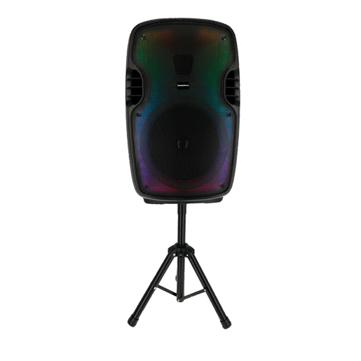 Bafle RadioShack Tripié 15F22 15 Bafle RadioShack Tripié 15F22 15