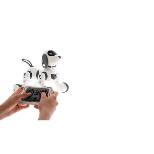 Perro de Control Remoto RadioShack Perro de Control Remoto RadioShack